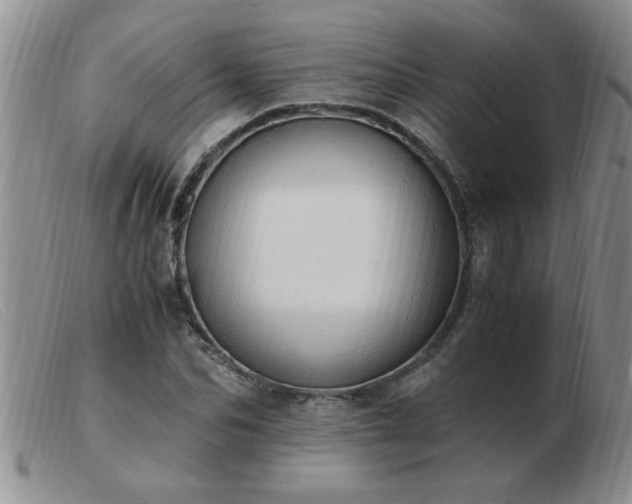 X0000103500974200809191942