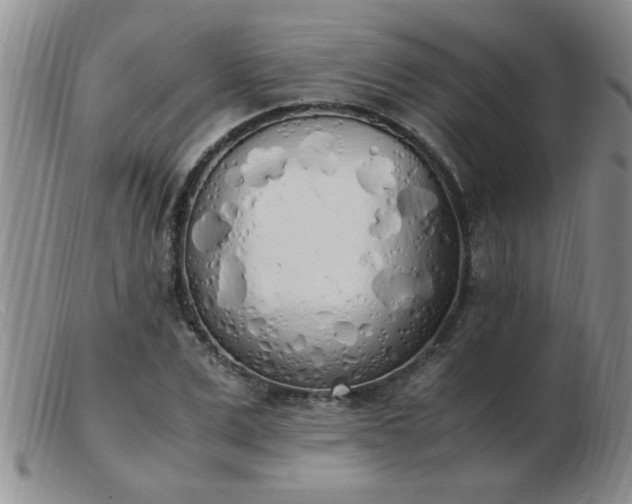 X0000103500975200809191942