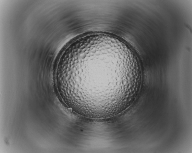 X0000103500976200809191942