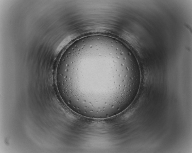 X0000103500978200809191942