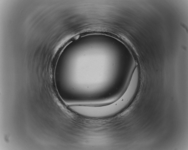 X0000103500981200809191941