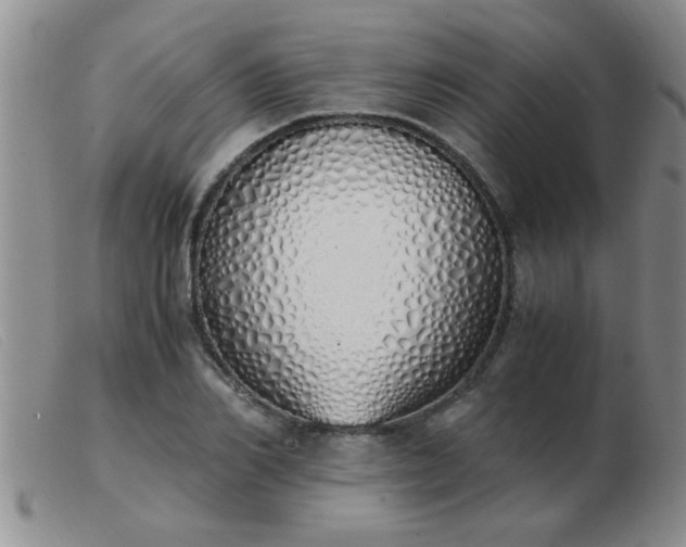 X0000103500982200809191941