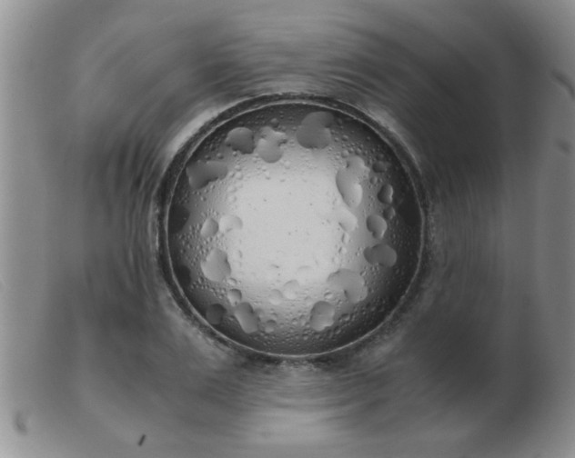 X0000103500983200809191941