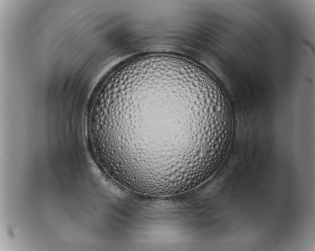 X0000103500984200809191941