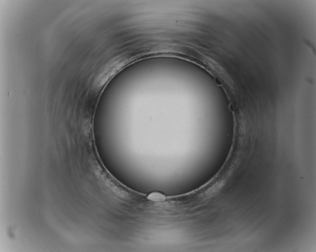 X0000103500985200809191941