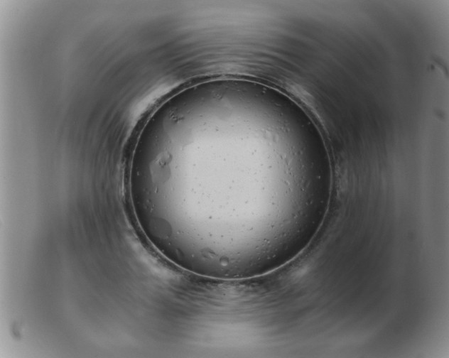 X0000103500987200809191941