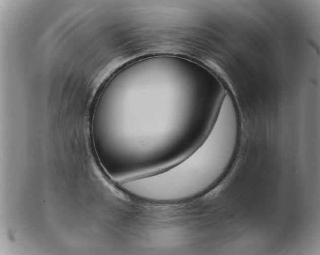 X0000103500989200809191941