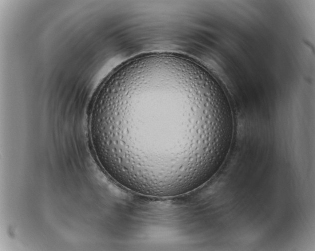 X0000103500990200809191941