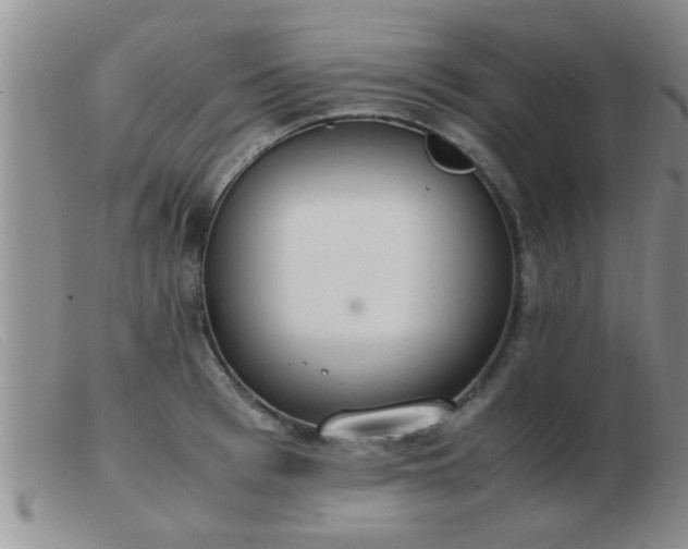 X0000103500993200809191941