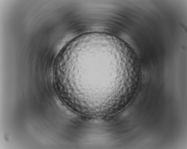 X0000103500994200809191941