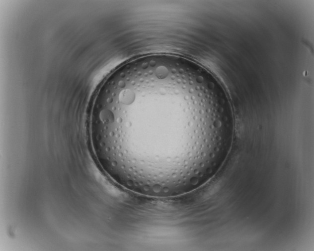 X0000103500995200809191941