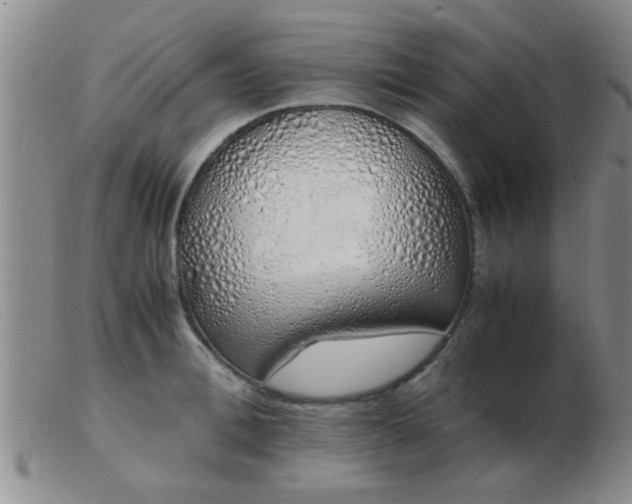 X0000103500996200809191941