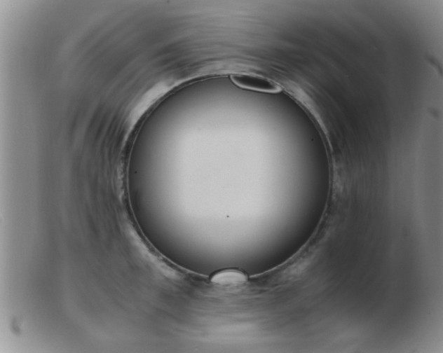 X0000103500997200809191941