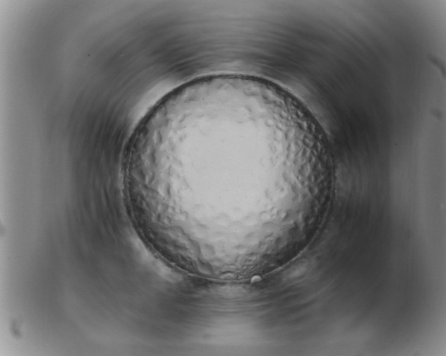 X0000103500998200809191941