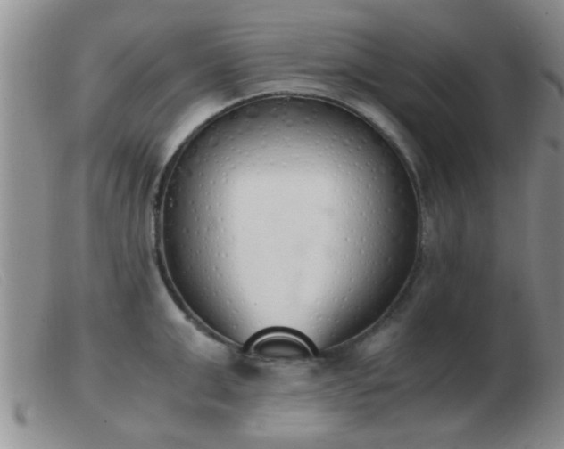 X0000103500999200809191941