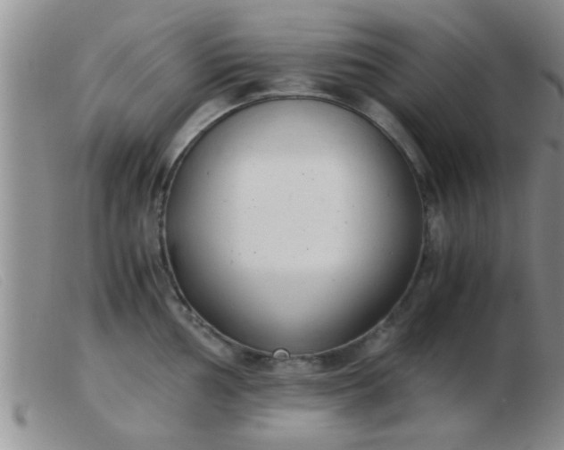 X0000103501002200809191941