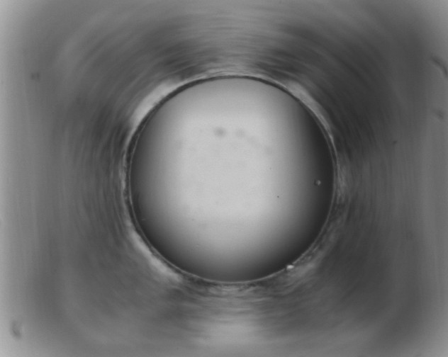 X0000103501005200809191941