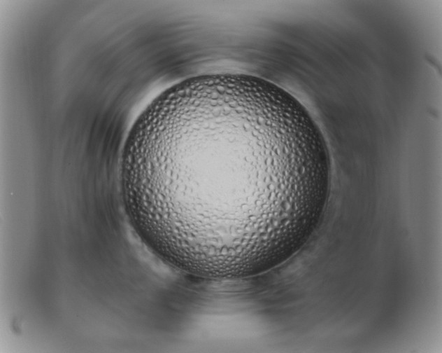 X0000103501008200809191941