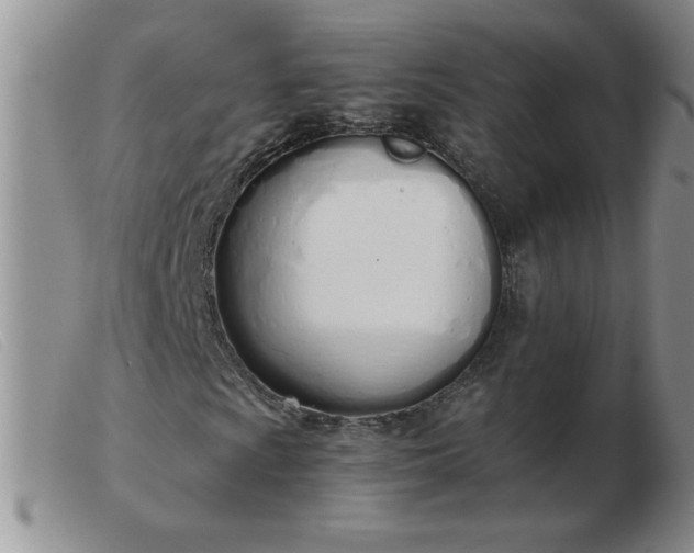 X0000103501009200809191940