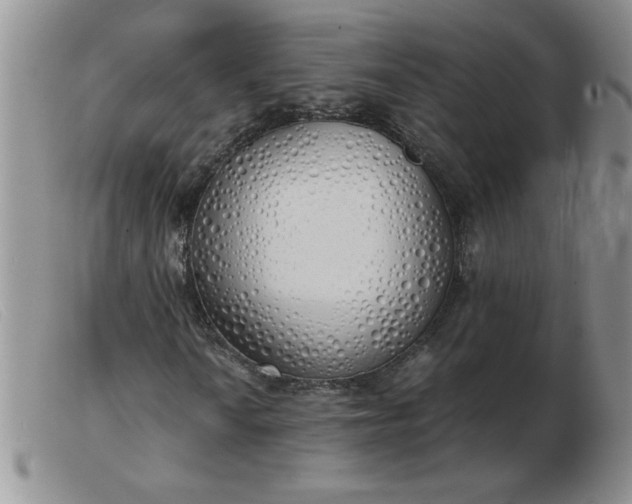 X0000103501010200809191940