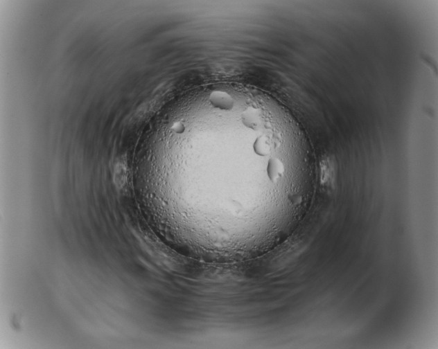 X0000103501011200809191940