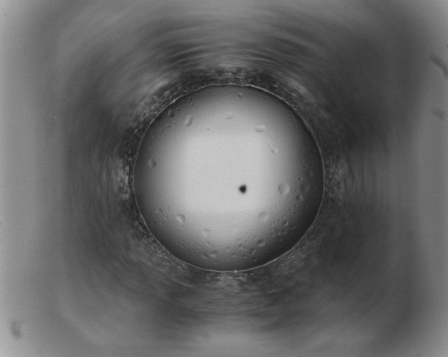 X0000103501013200809191940