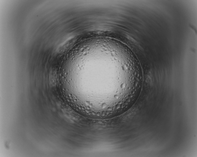 X0000103501014200809191940