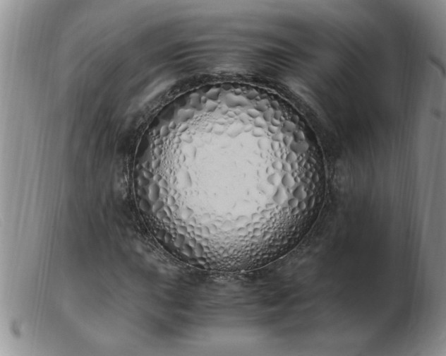 X0000103501015200809191940