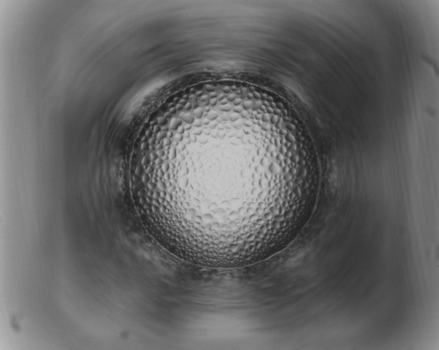 X0000103501016200809191940