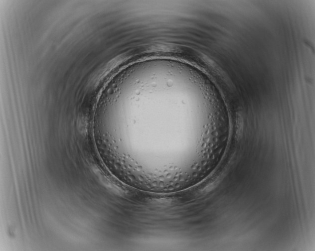 X0000103501017200809191940