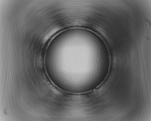 X0000103501018200809191940