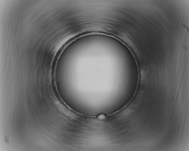 X0000103501020200809191940