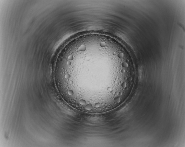 X0000103501021200809191940