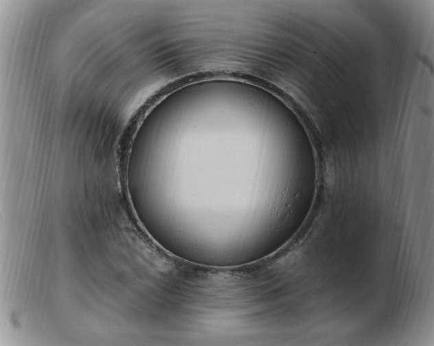 X0000103501022200809191940