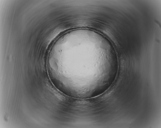 X0000103501023200809191940