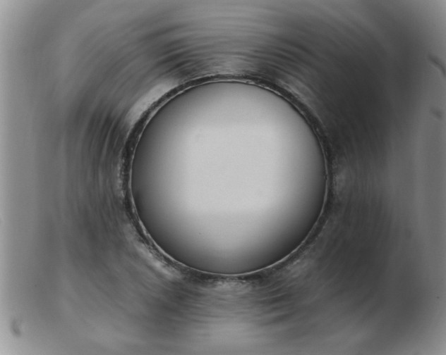 X0000103501026200809191941