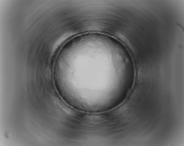 X0000103501027200809191941