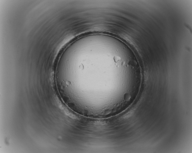 X0000103501029200809191941