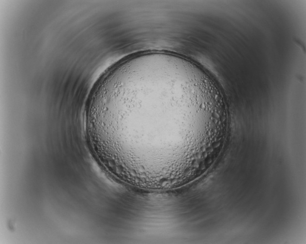 X0000103501032200809191941