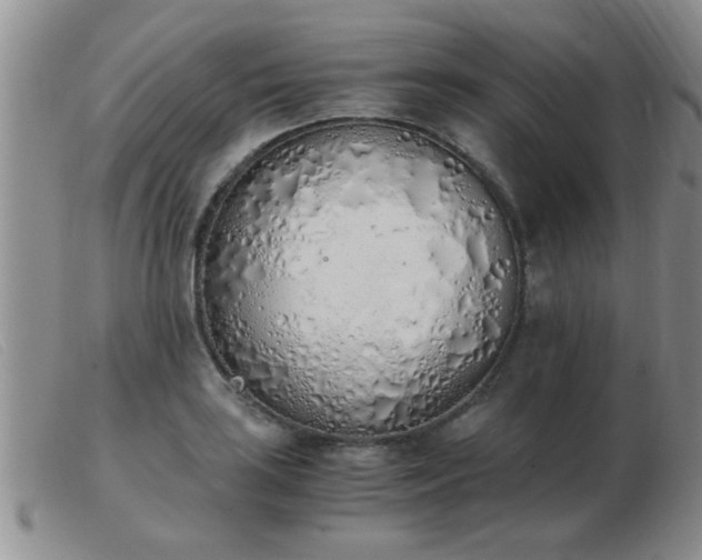 X0000103501035200809191941