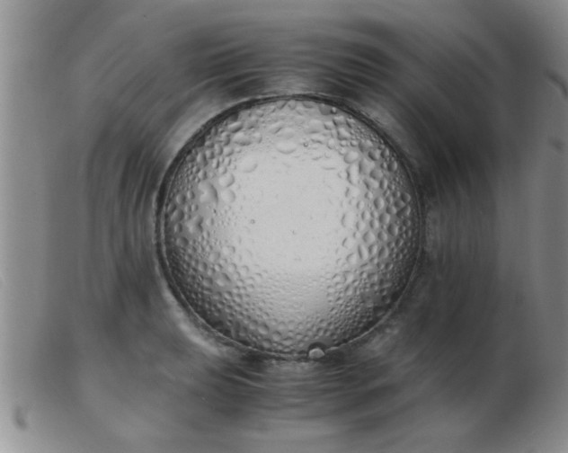 X0000103501039200809191941