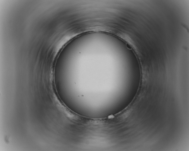 X0000103501040200809191941