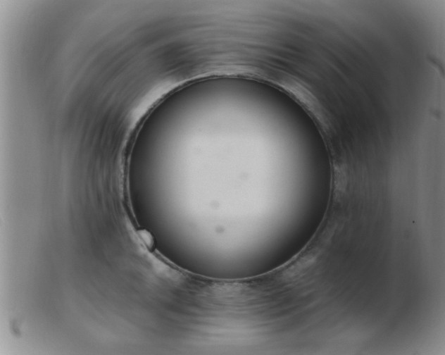 X0000103501046200809191941