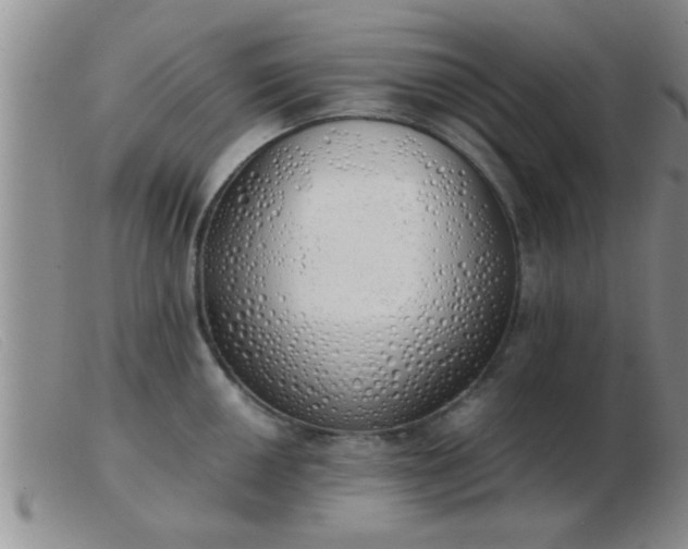 X0000103501050200809191941