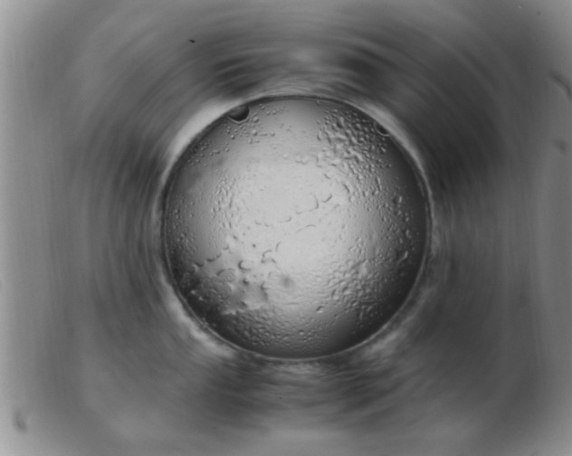 X0000103501053200809191941