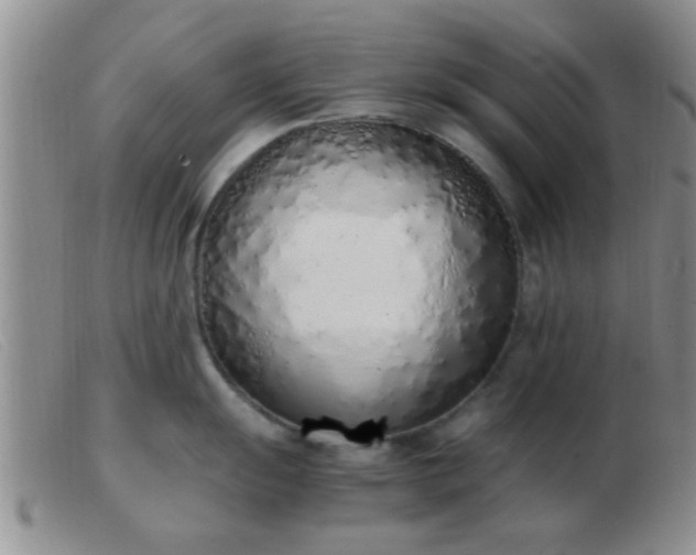 X0000103501055200809191941