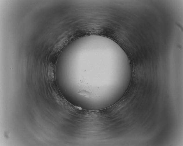 X0000103501058200809191940