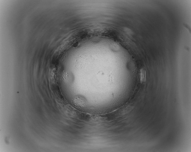 X0000103501059200809191940