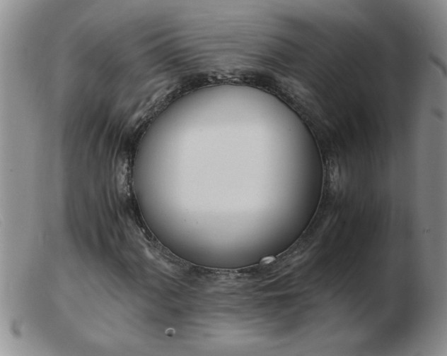 X0000103501060200809191940