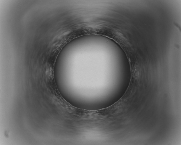 X0000103501061200809191940